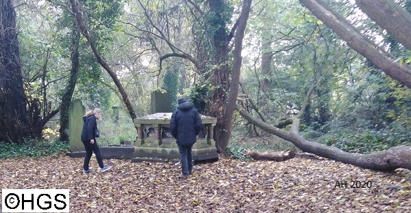 Festival of Geology 2020