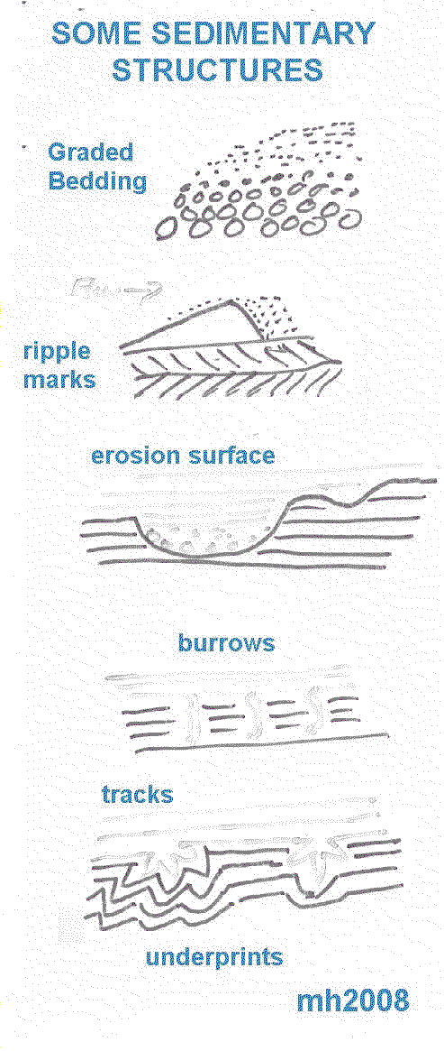 sedimentary structores