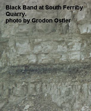 Black Band Member at Fouth Ferriby