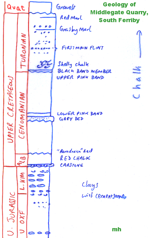 Middlegate Qy, general stratigrphy