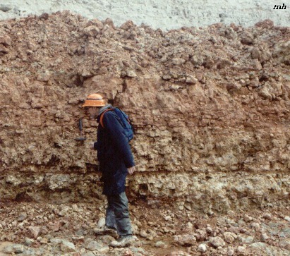 Red Chalk Formation at South Ferriby