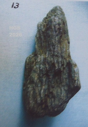 Litostrotian