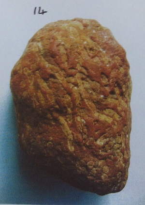 Lithostrotian